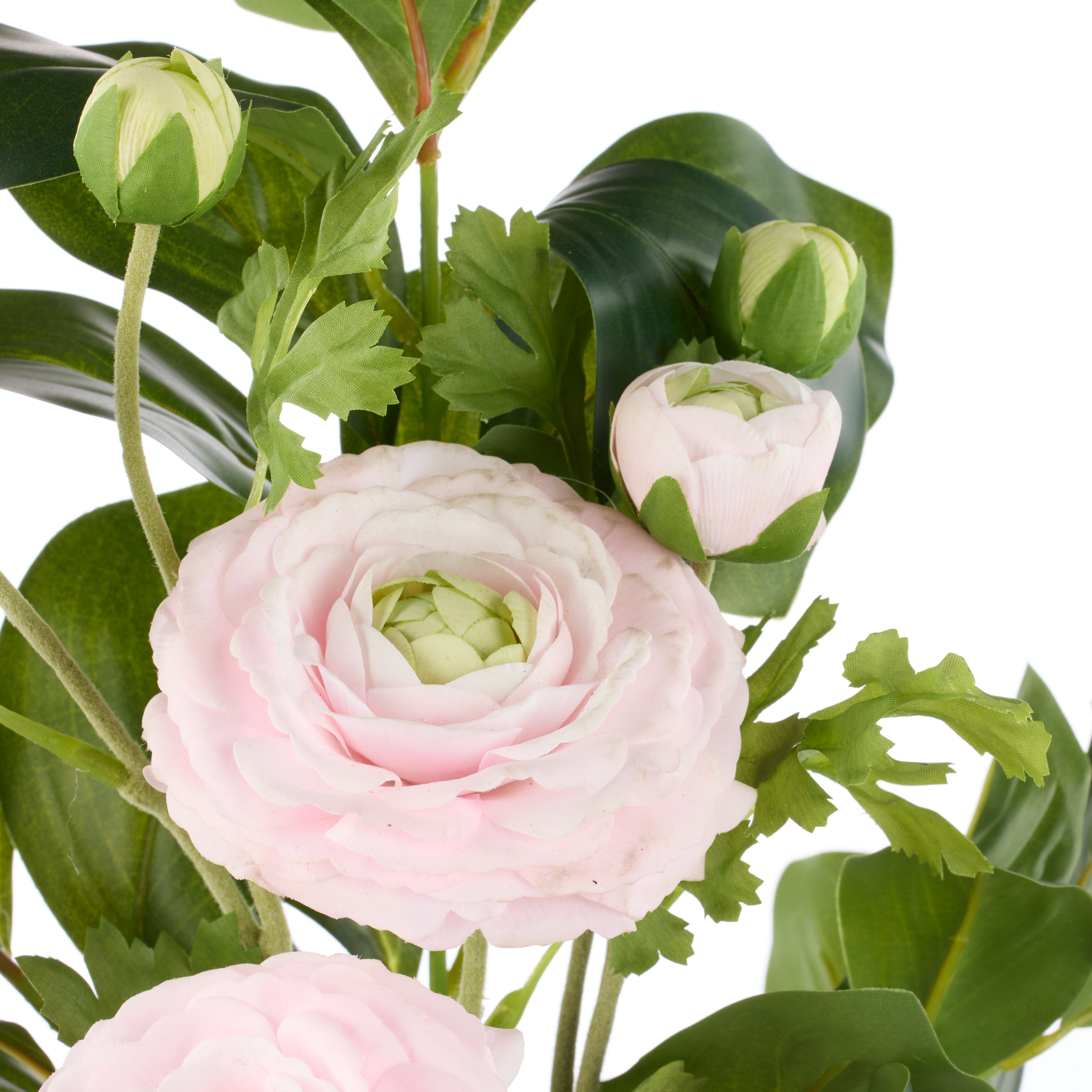 Rogue Ranunculus Spray Lush Leaf Bouquet Light Pink