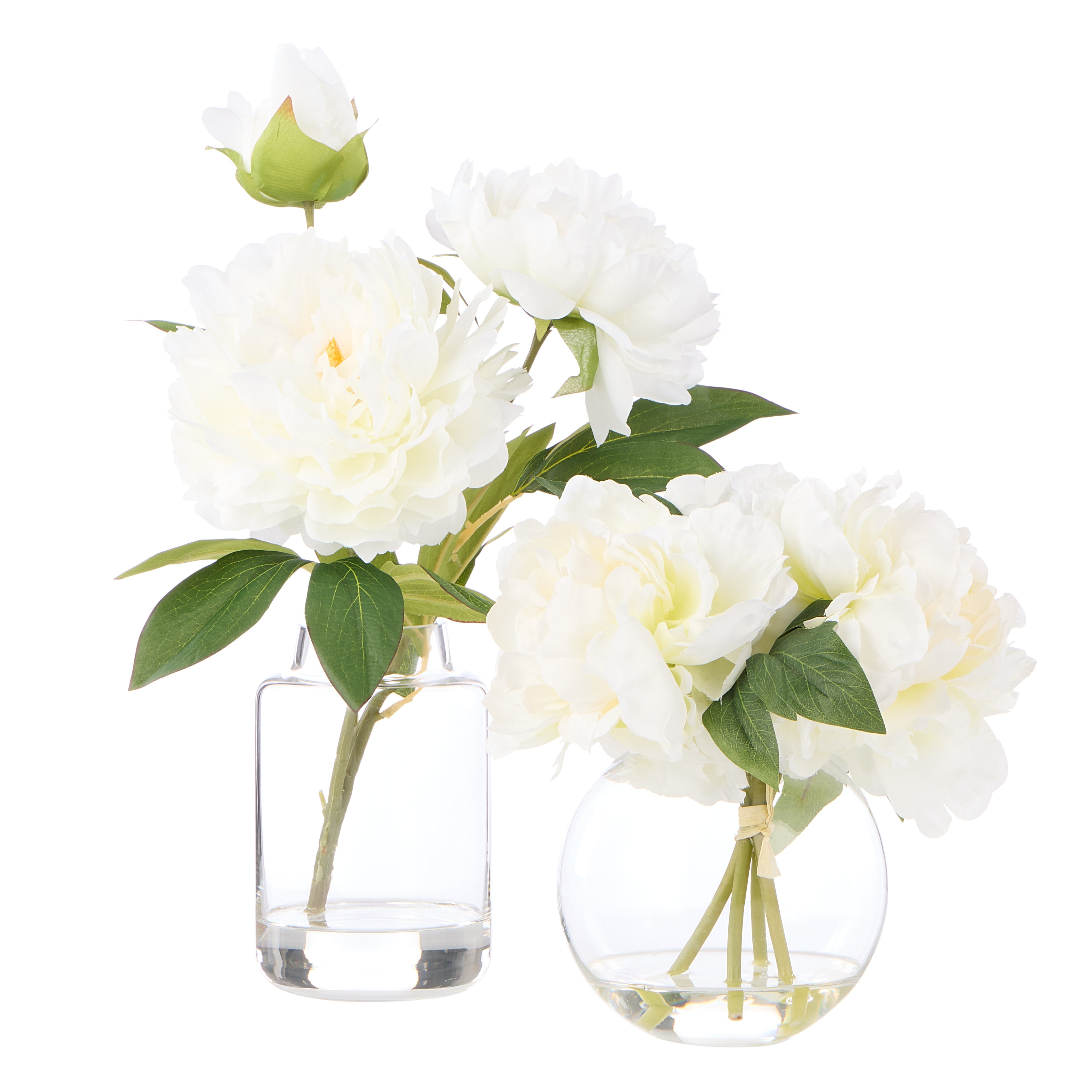 Rogue Peony Stem - Pauline Vase