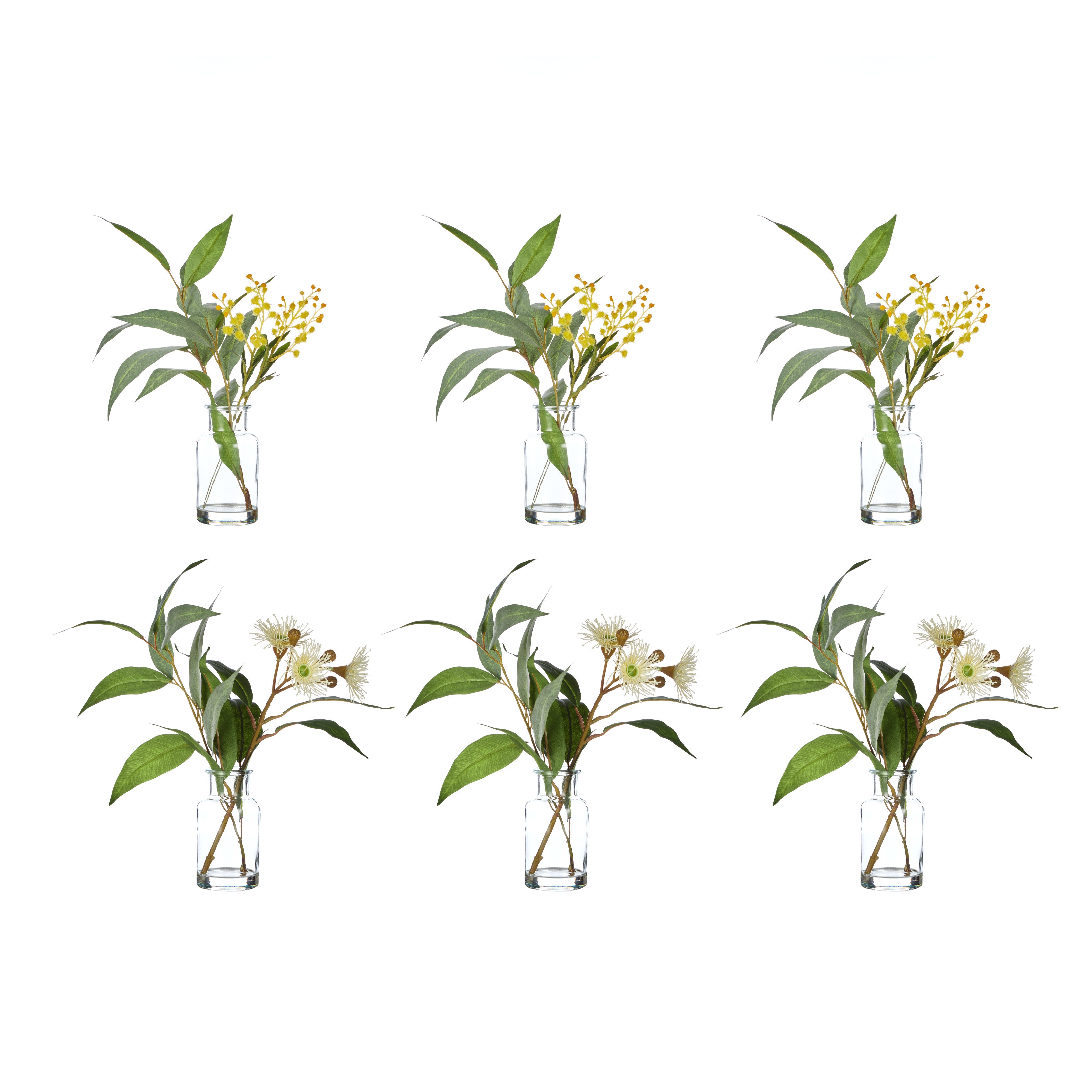 Rogue Eucalyptus Wattle Mix - Specimen Bottle 6pcs/2 Assorted Green & Glass