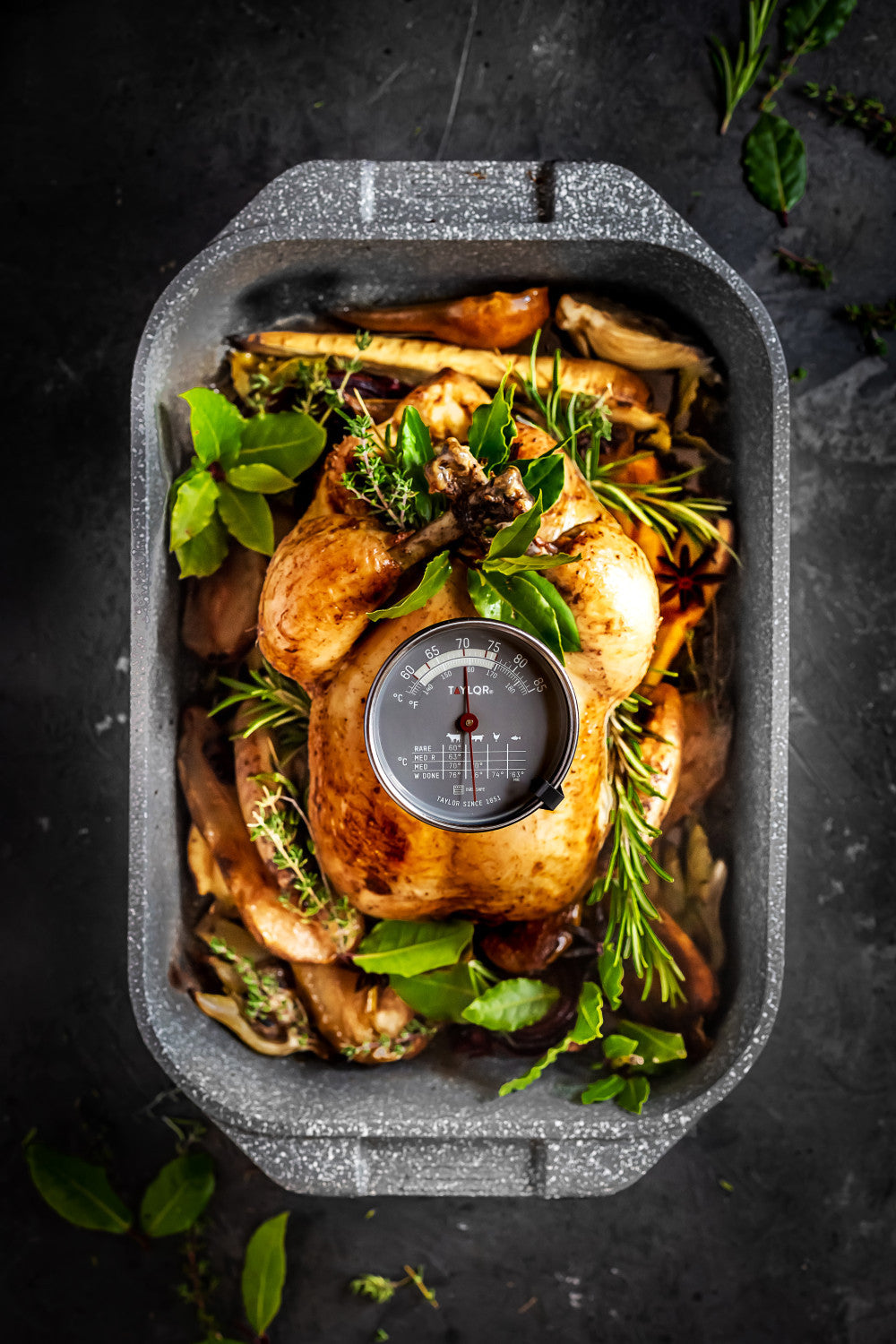 Taylor Pro Leave-In Meat Thermometer