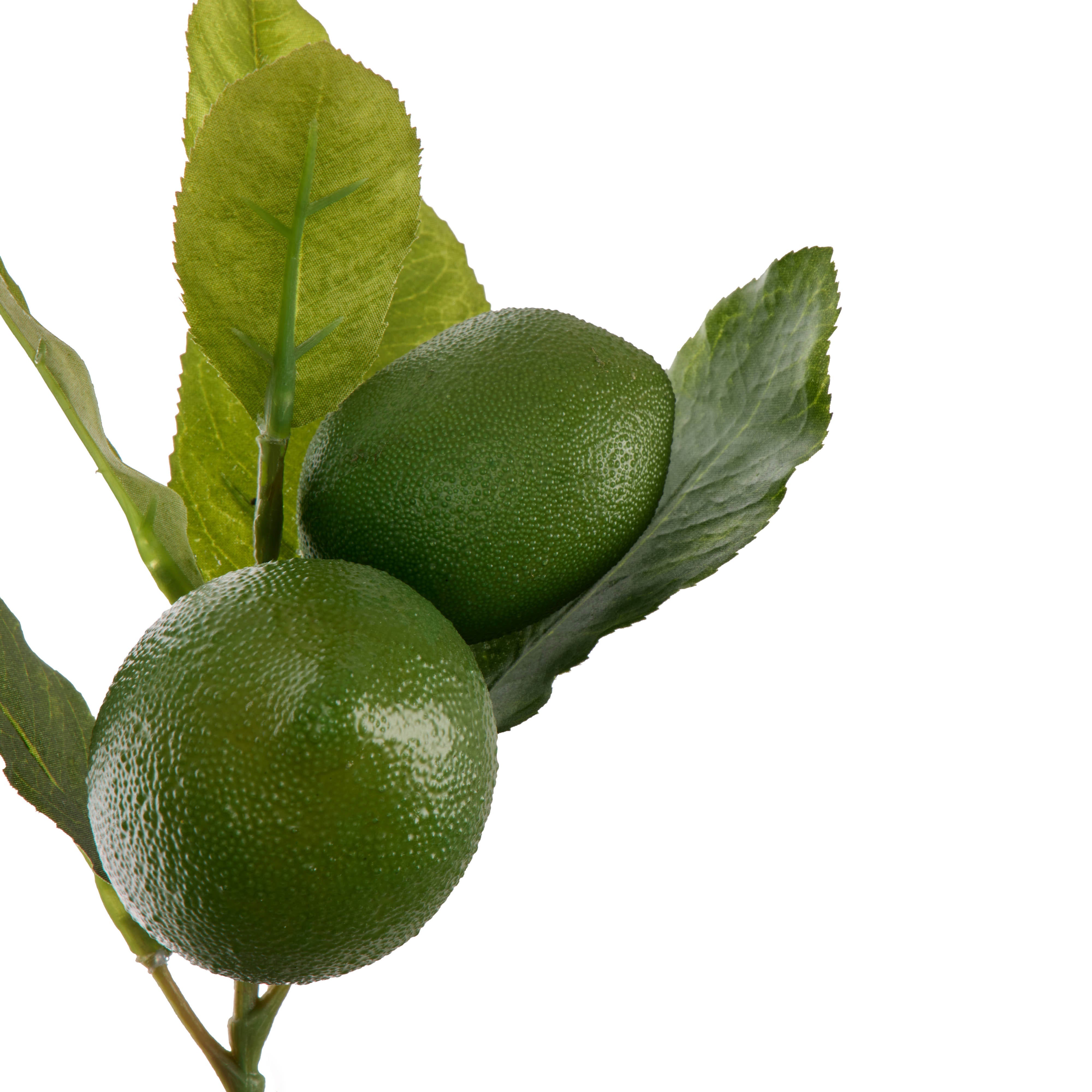 Rogue Lime Spray with Leaves