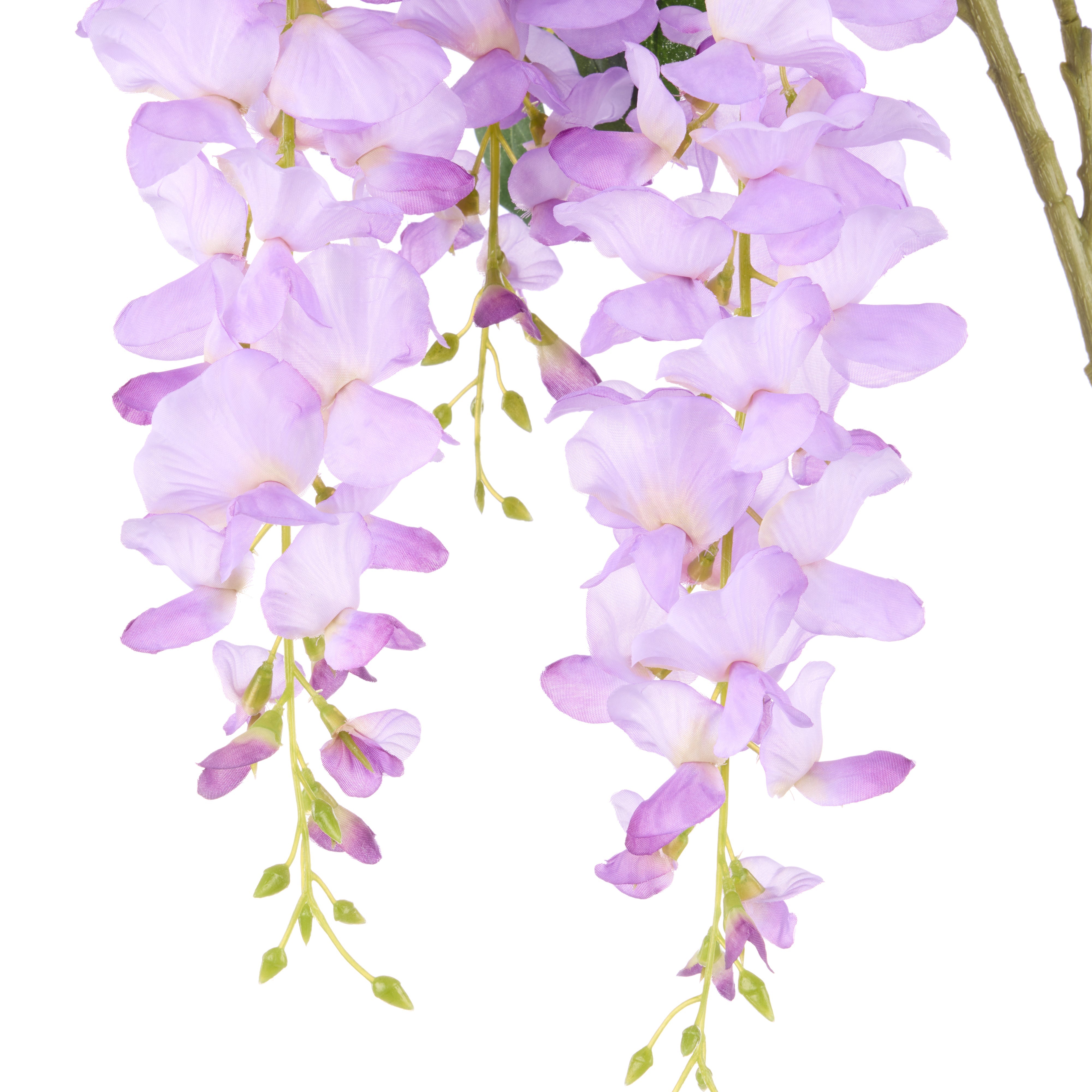Rogue Wisteria Spray Lilac