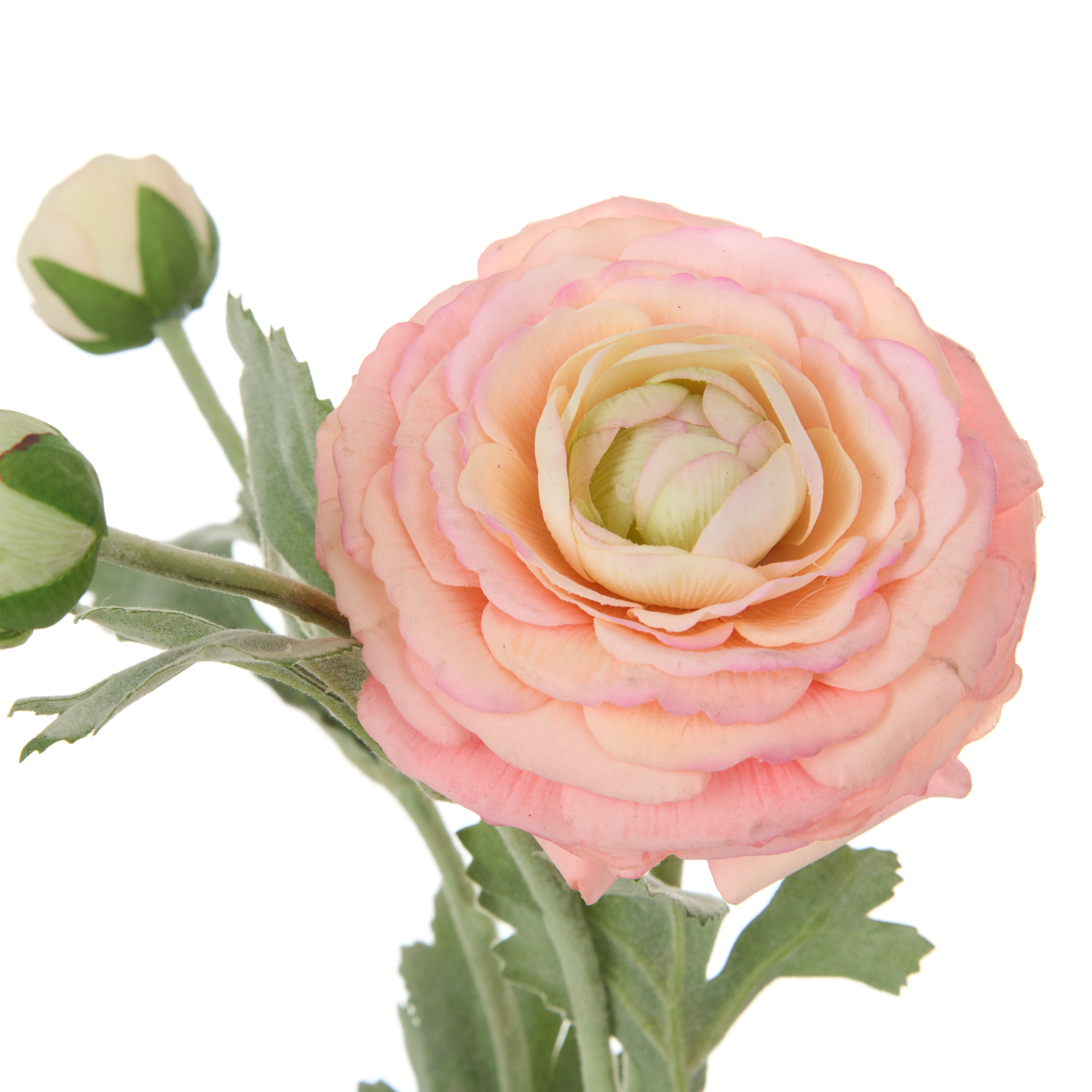 Rogue Ranunculus Real Touch Spray Champagne