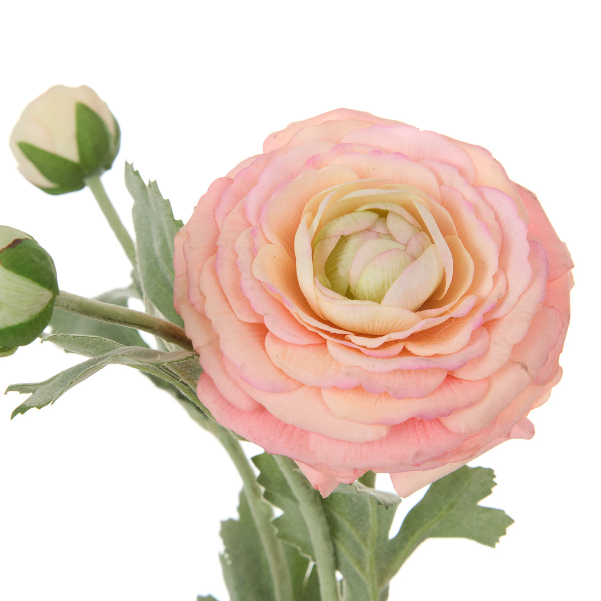 Rogue Ranunculus Real Touch Spray Champagne