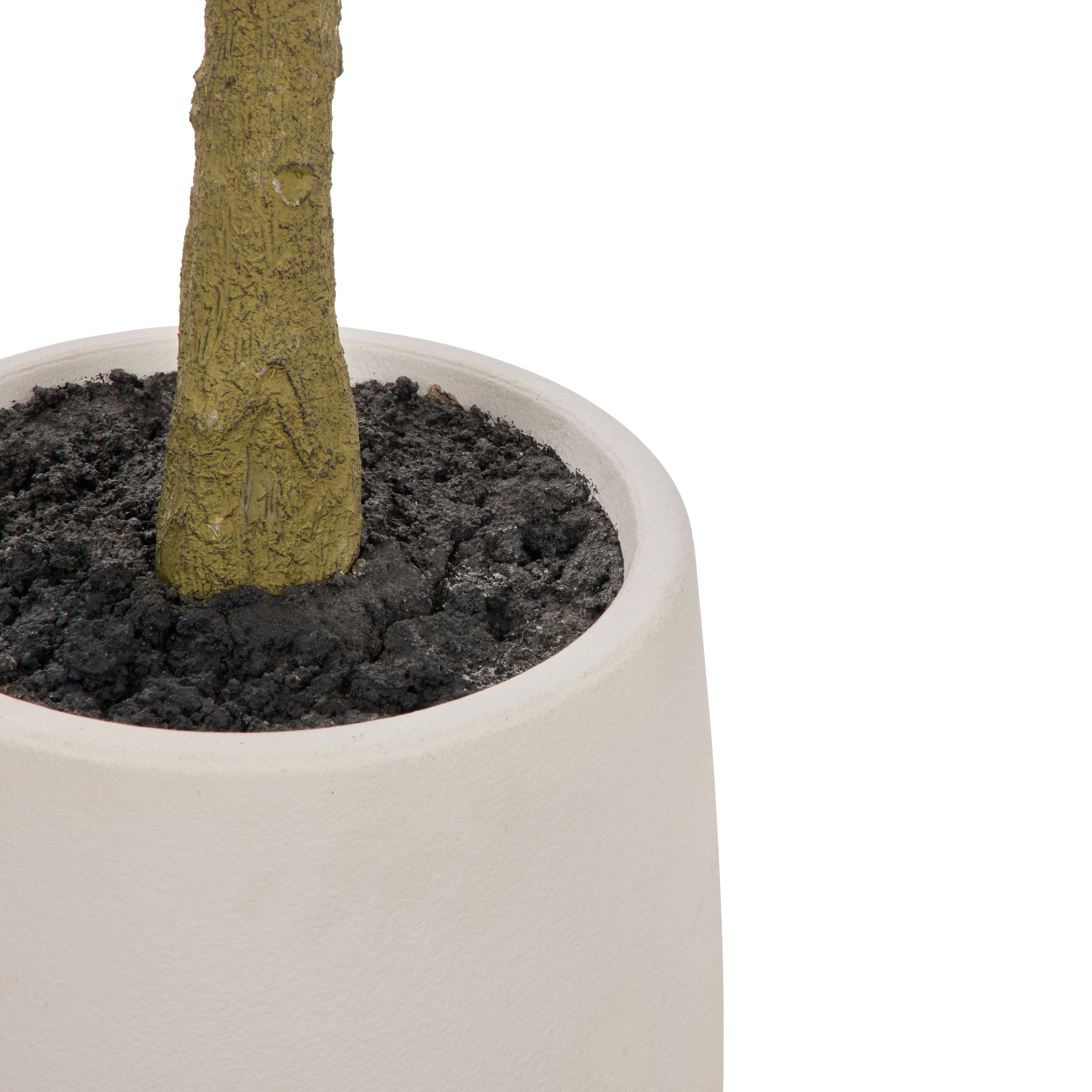 Rogue Ficus Tree Pot Green 150cm
