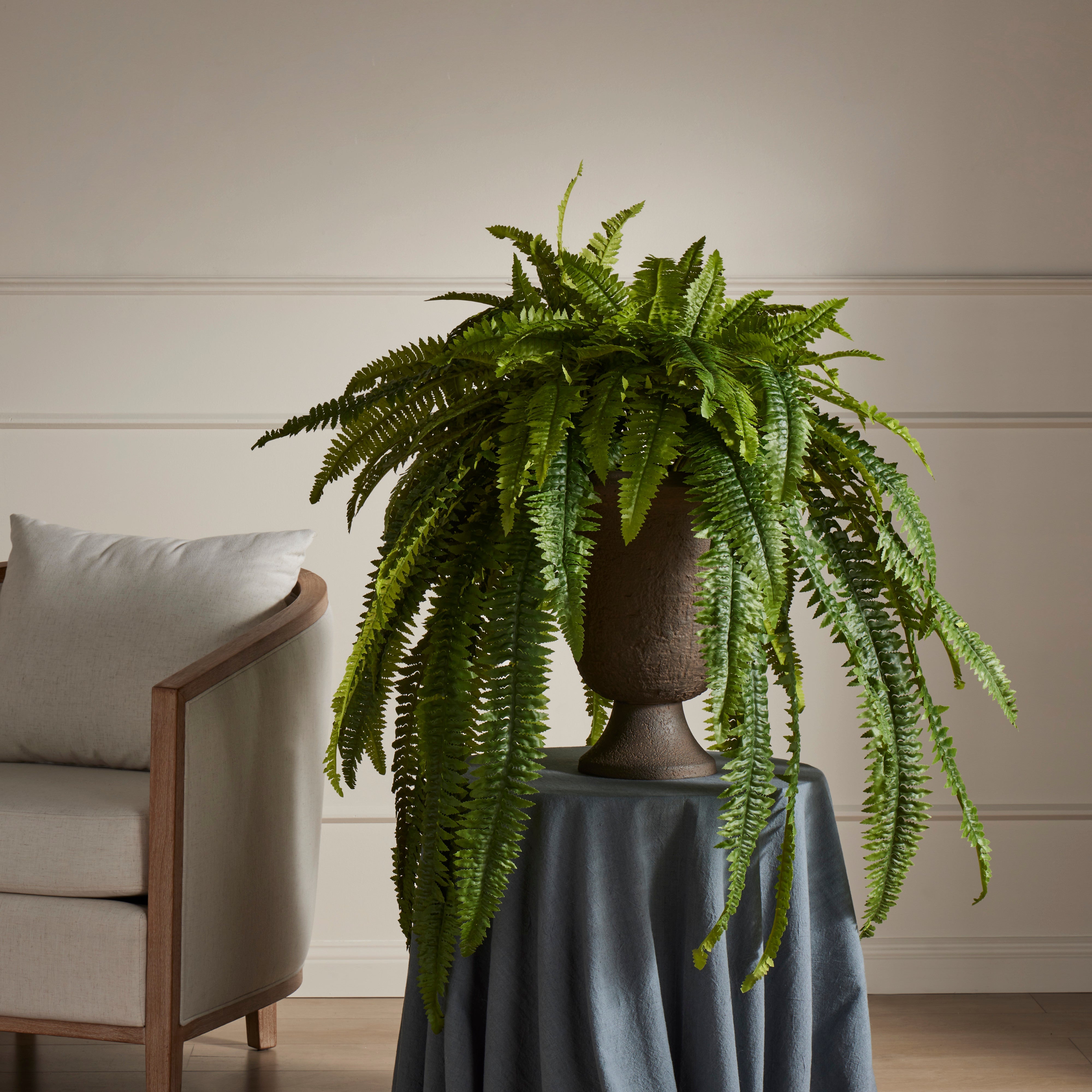Rogue Boston Fern - Vintage Urn