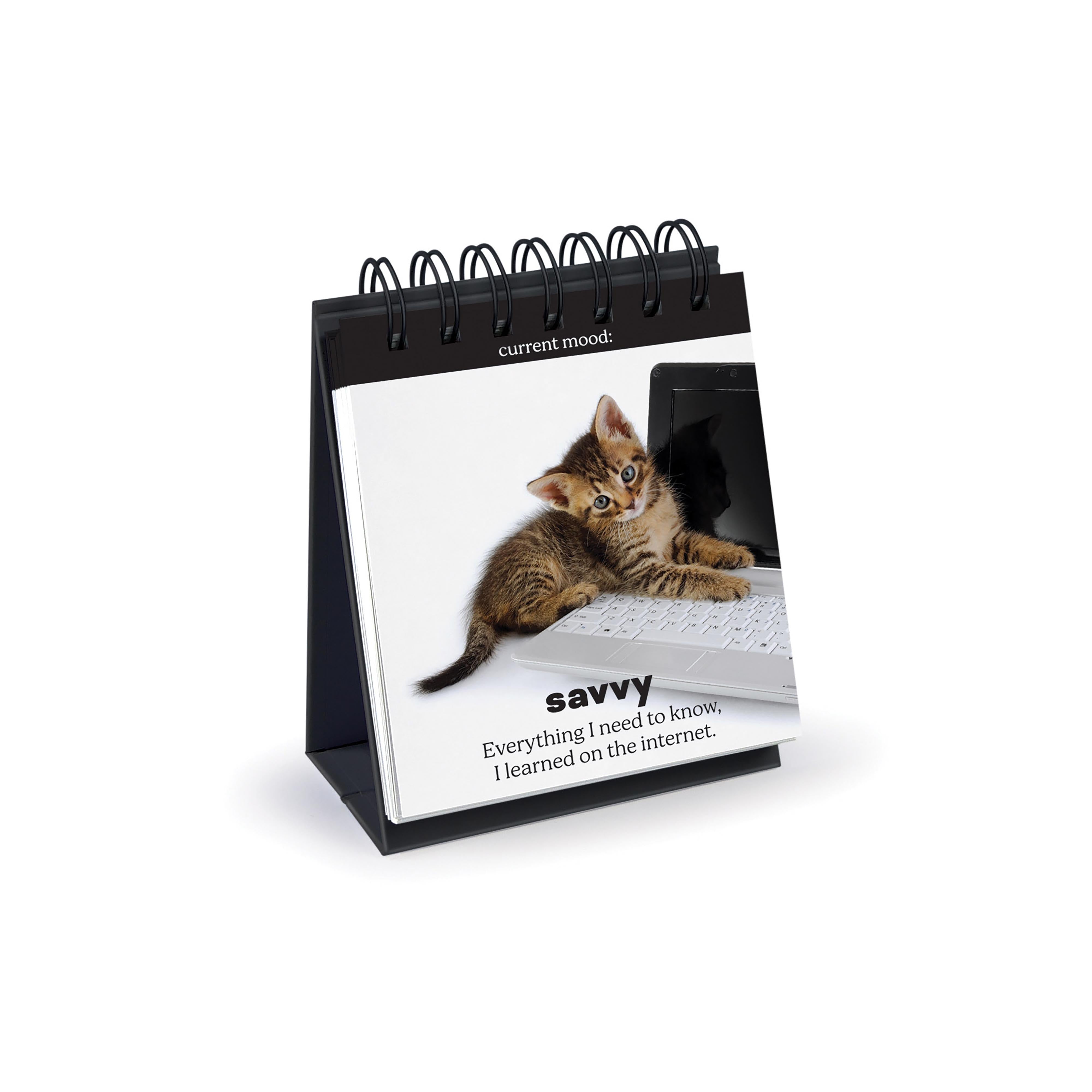 Fred Daily Cattitudes Desktop Flipbook Multi-Coloured