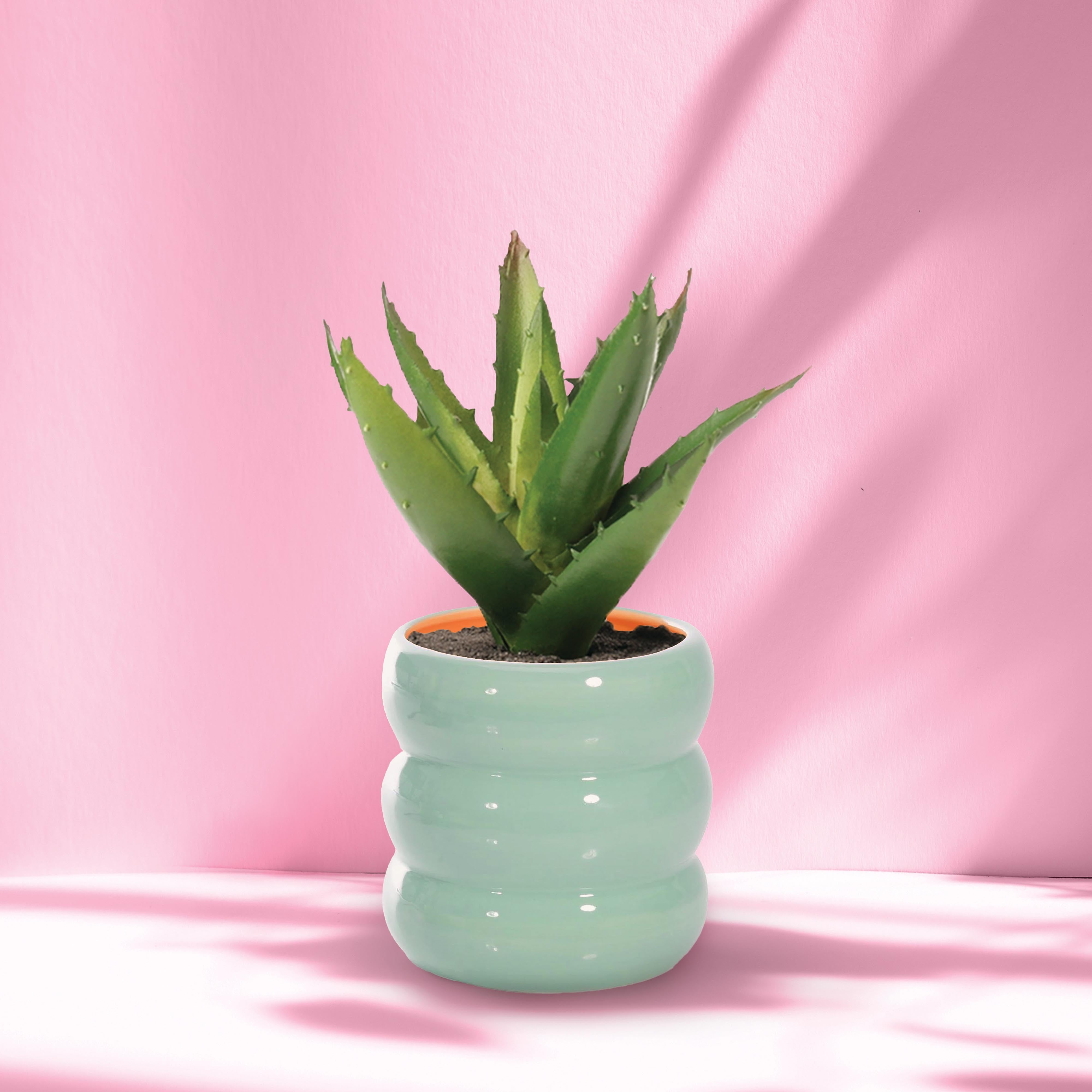isGift Happy Mondays Plant Pot Assorted