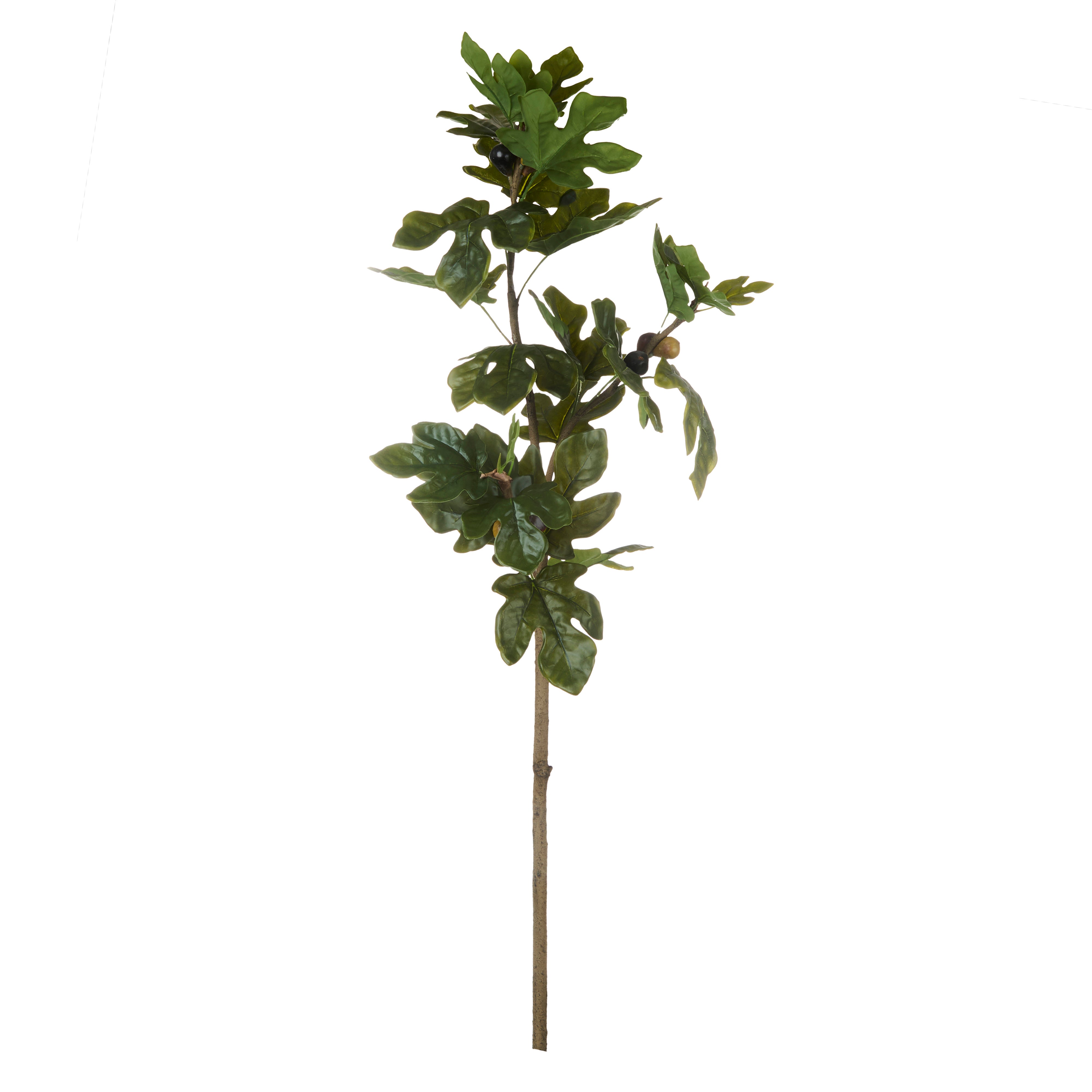 Rogue Fig Spray
