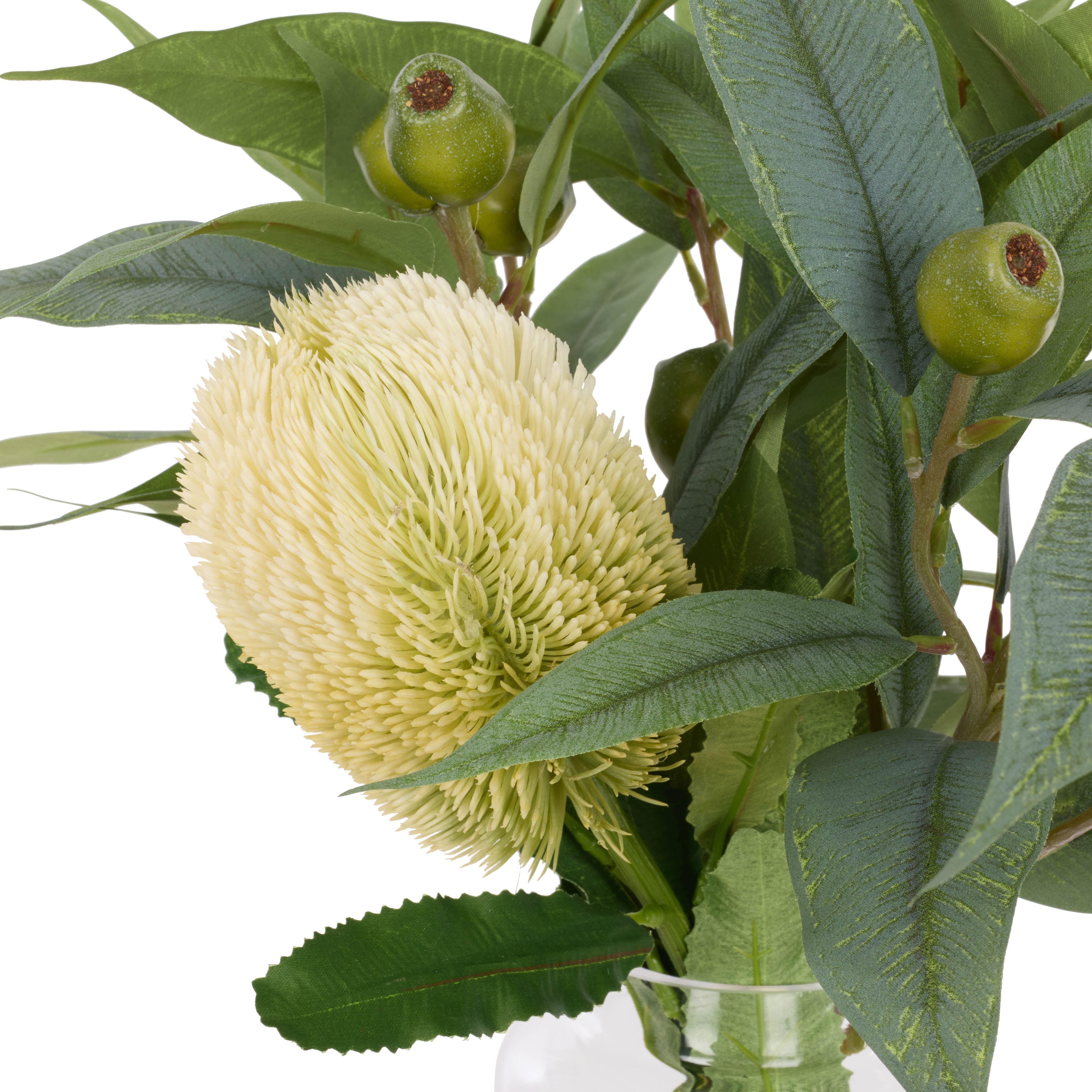Rogue Banksia Gumnut Mix - Pauline Vase