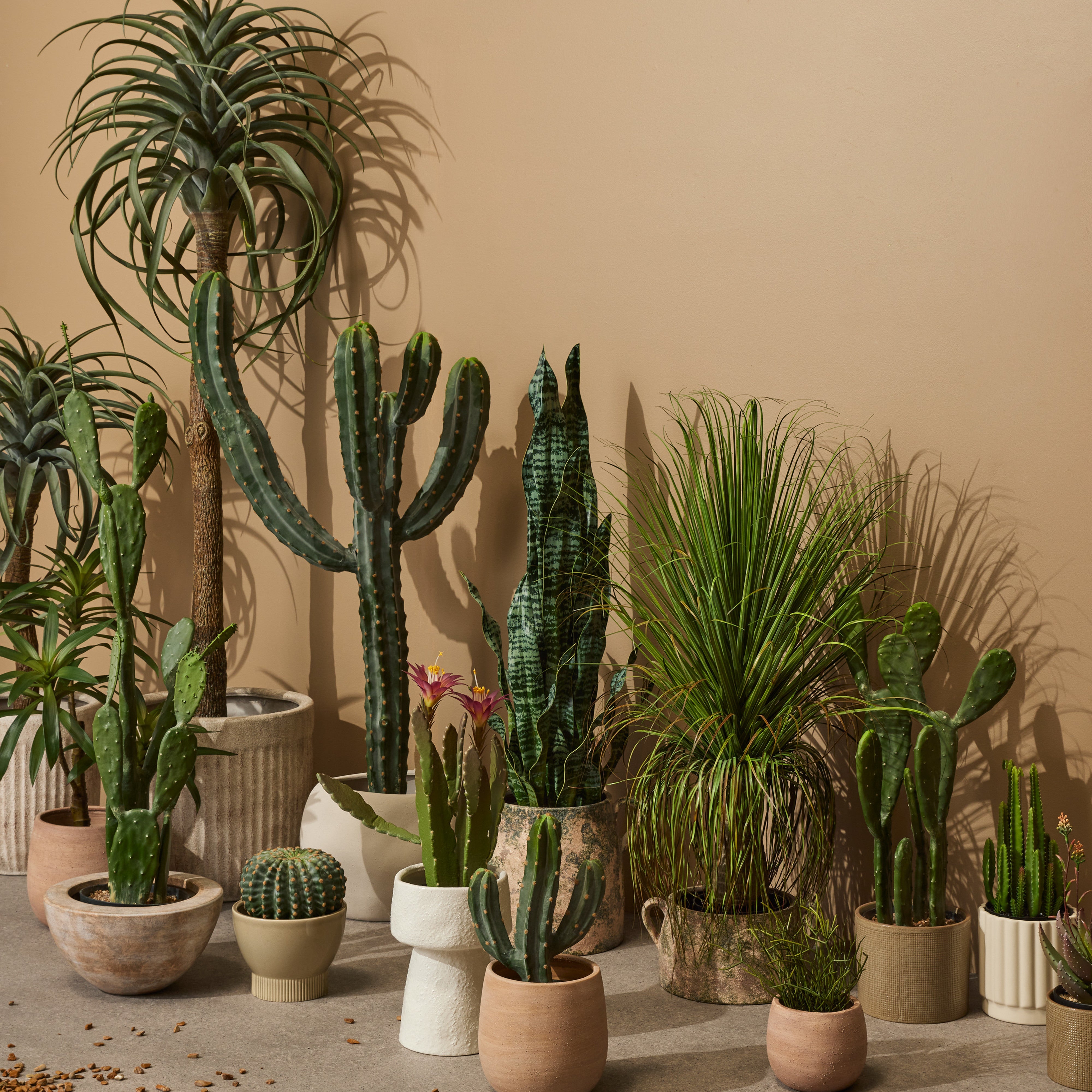 Rogue Saguaro Cactus - Garden Pot 123cm