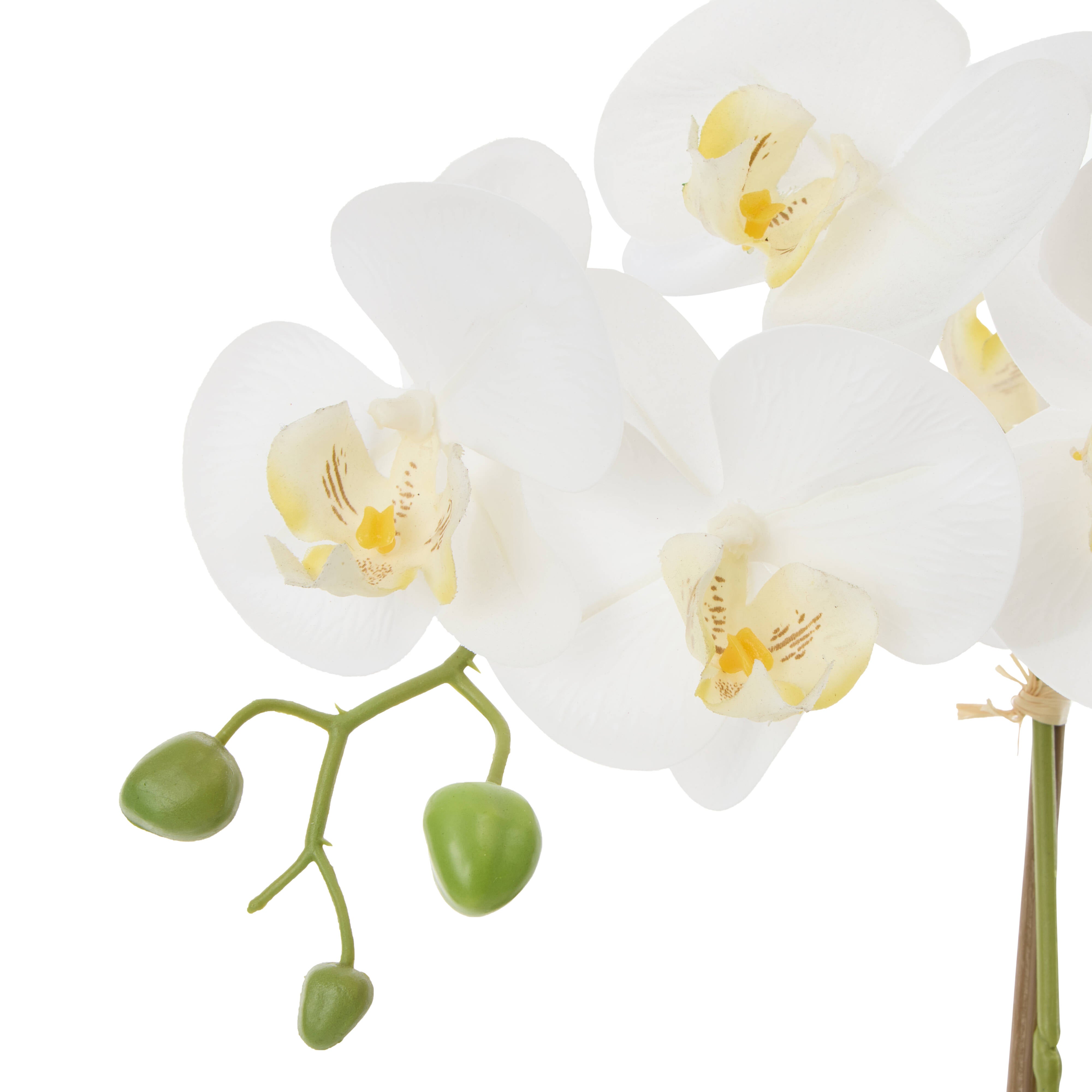 Rogue Phalaenopsis Orchid Pot White 44cm