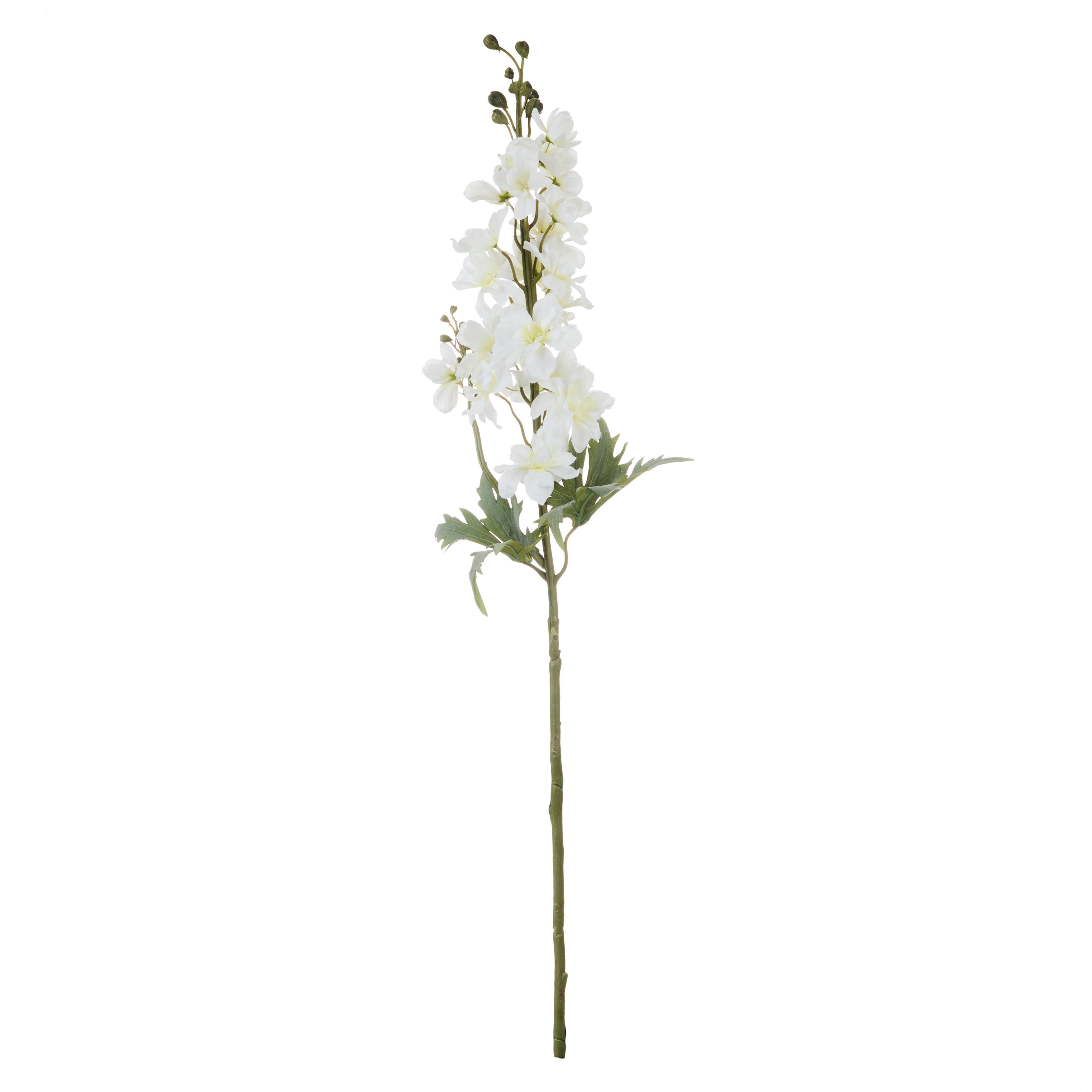 Rogue Delphinium Stem White