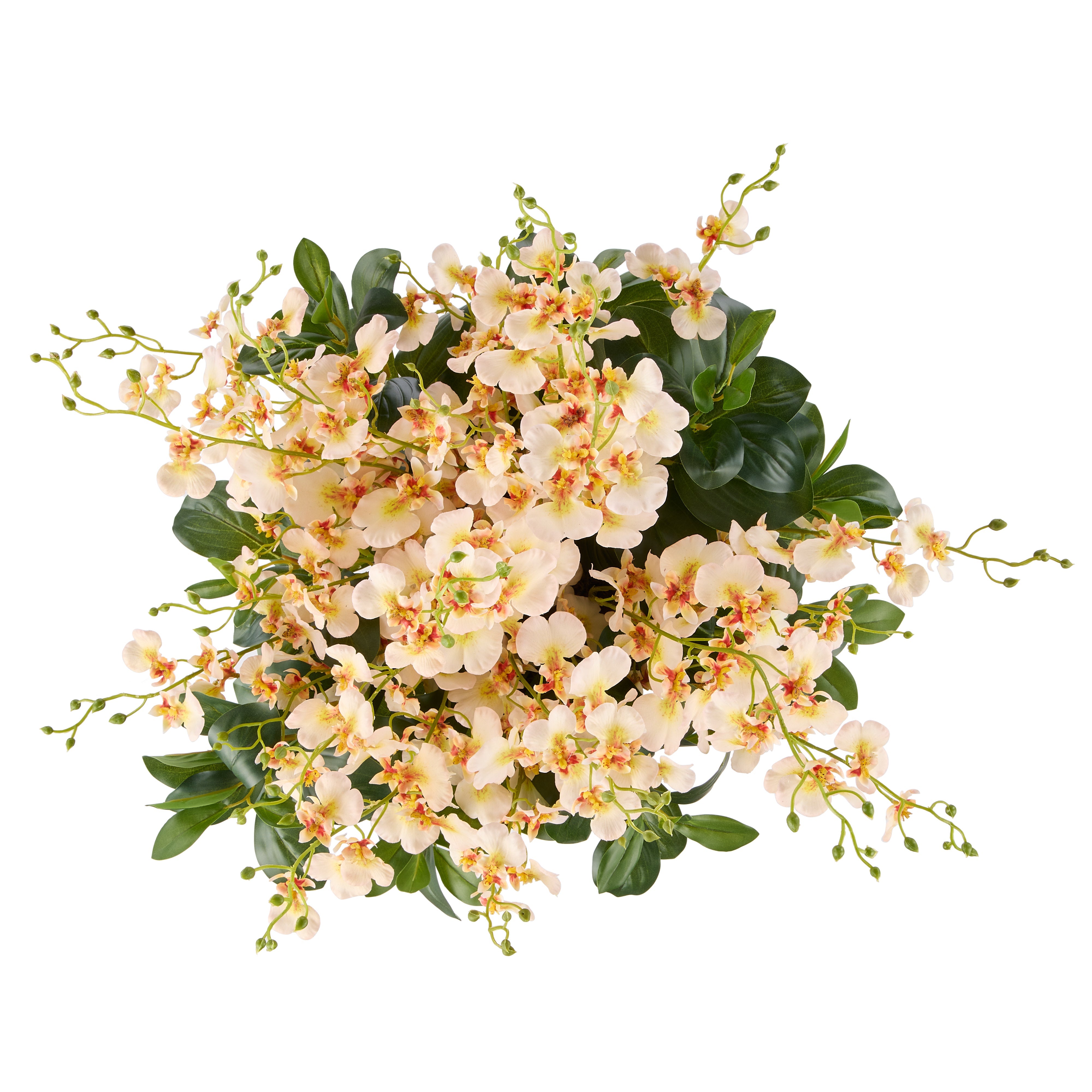 Rogue Dancing Orchid - Small Madelyn Bowl Cream