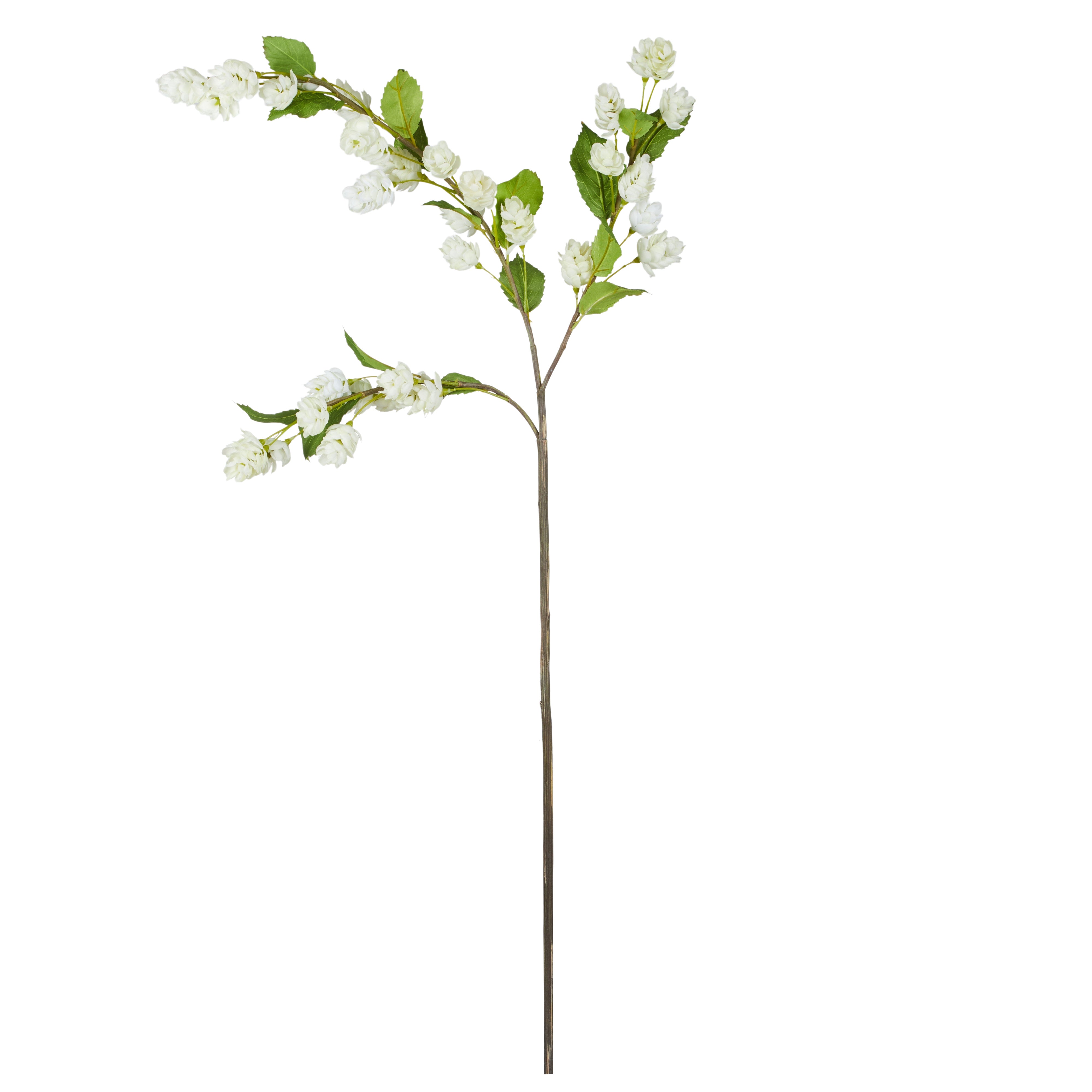 Rogue Hops Flower Stem