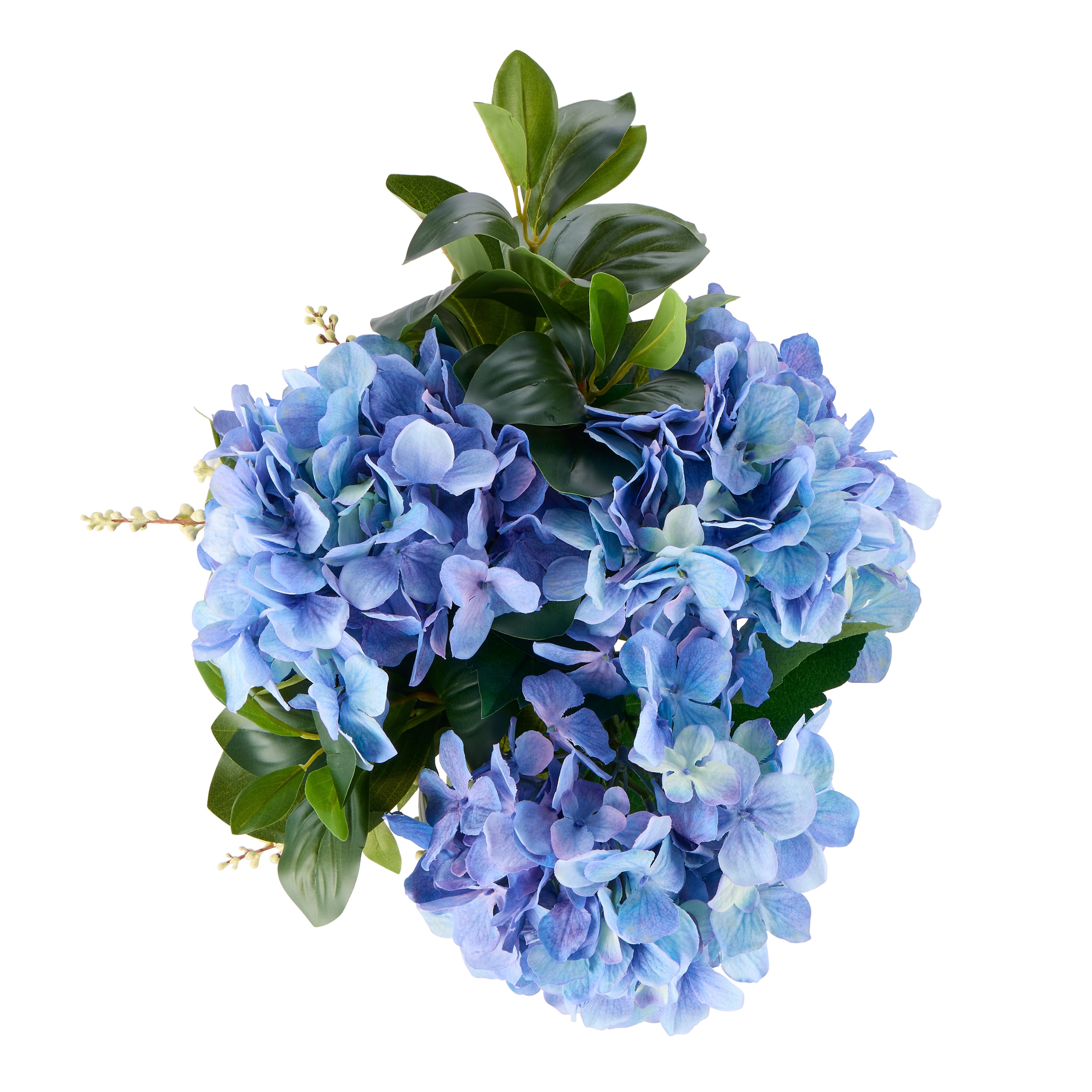 Rogue Hydrangea Nite Berry - Classic Bowl Blue Small