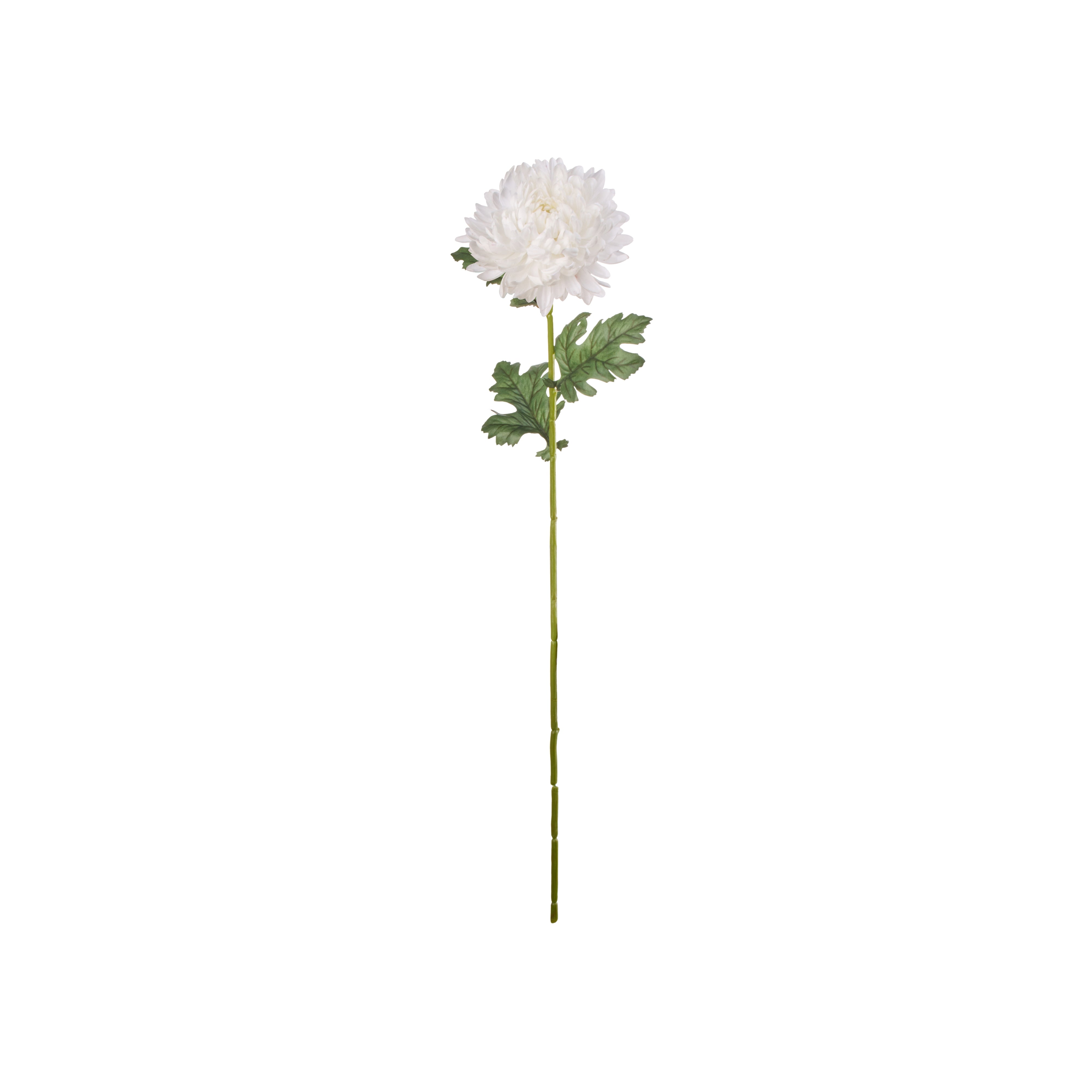 Rogue Chrysanthemum Stem Real Touch White