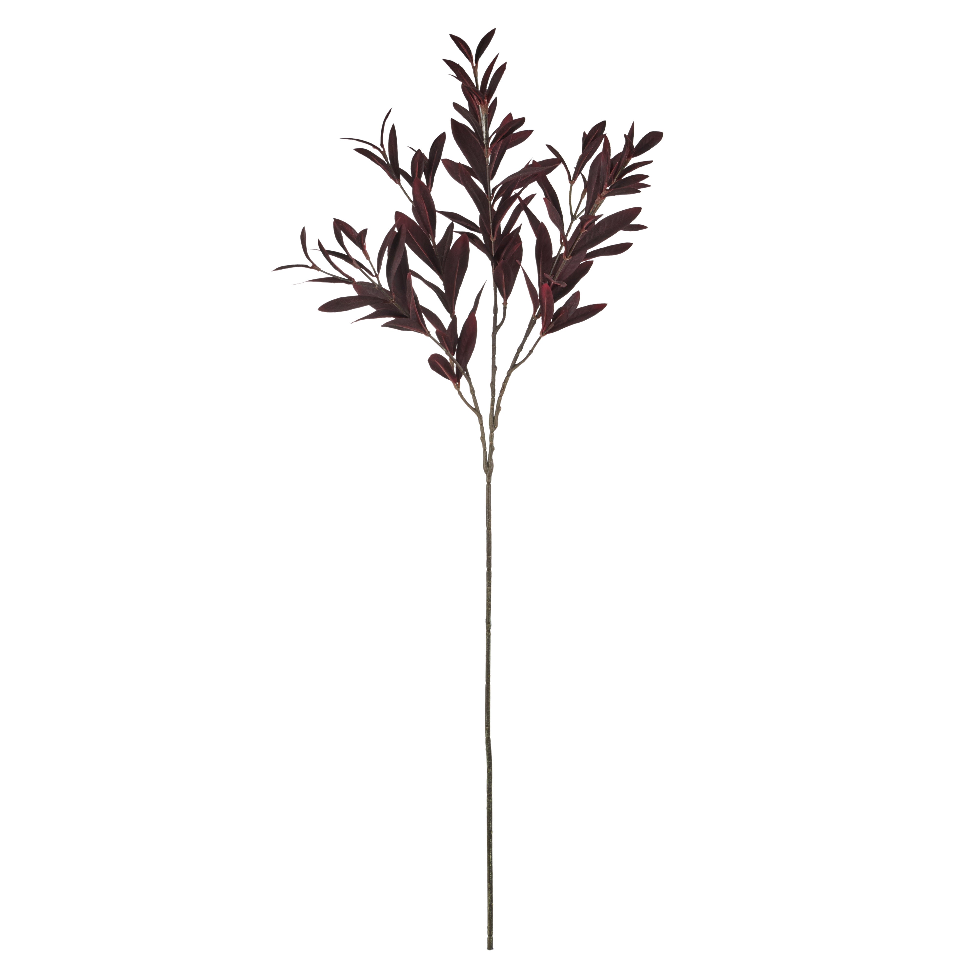 Rogue Olive Leaf Spray