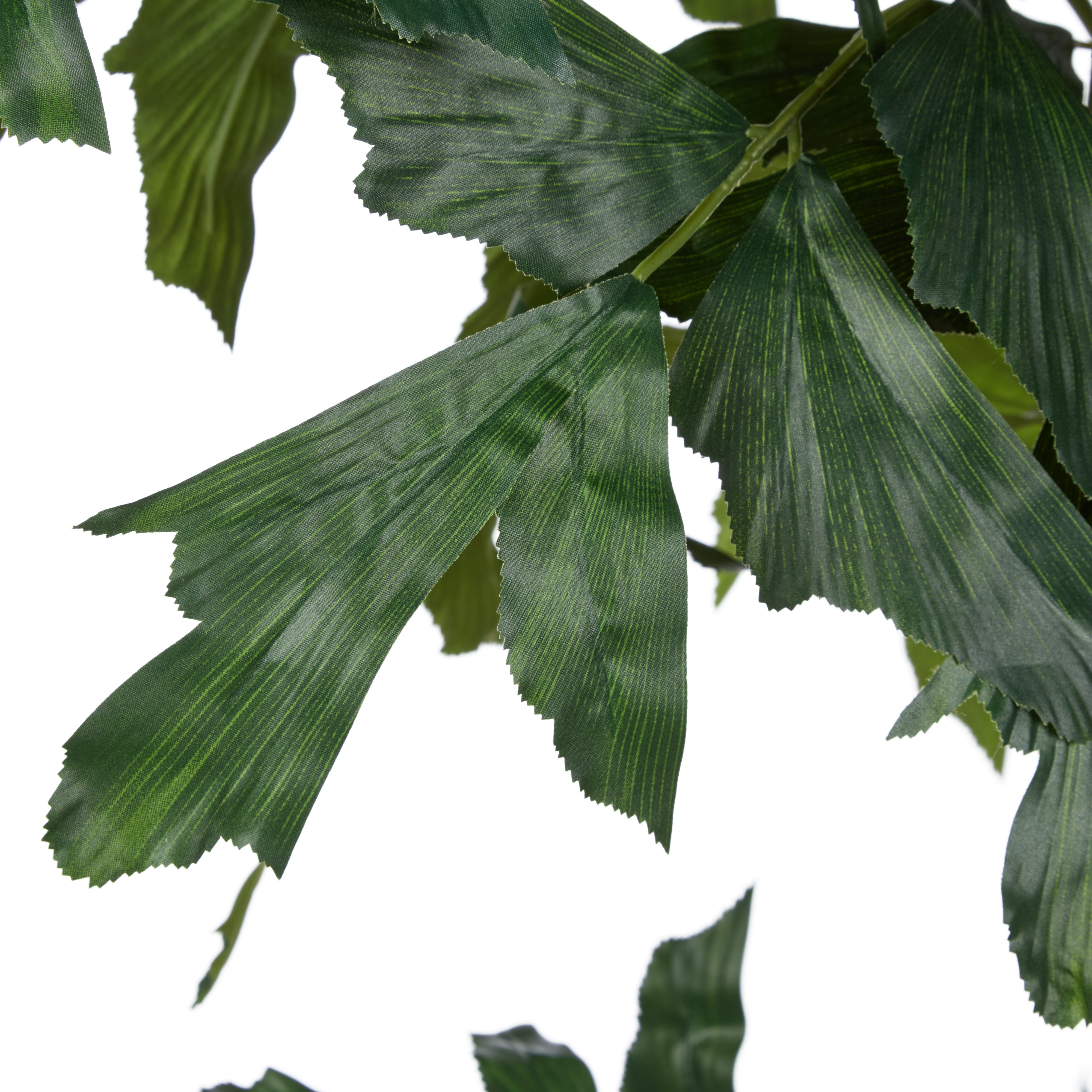Rogue Caryota Palm Tree - Vienna Planter