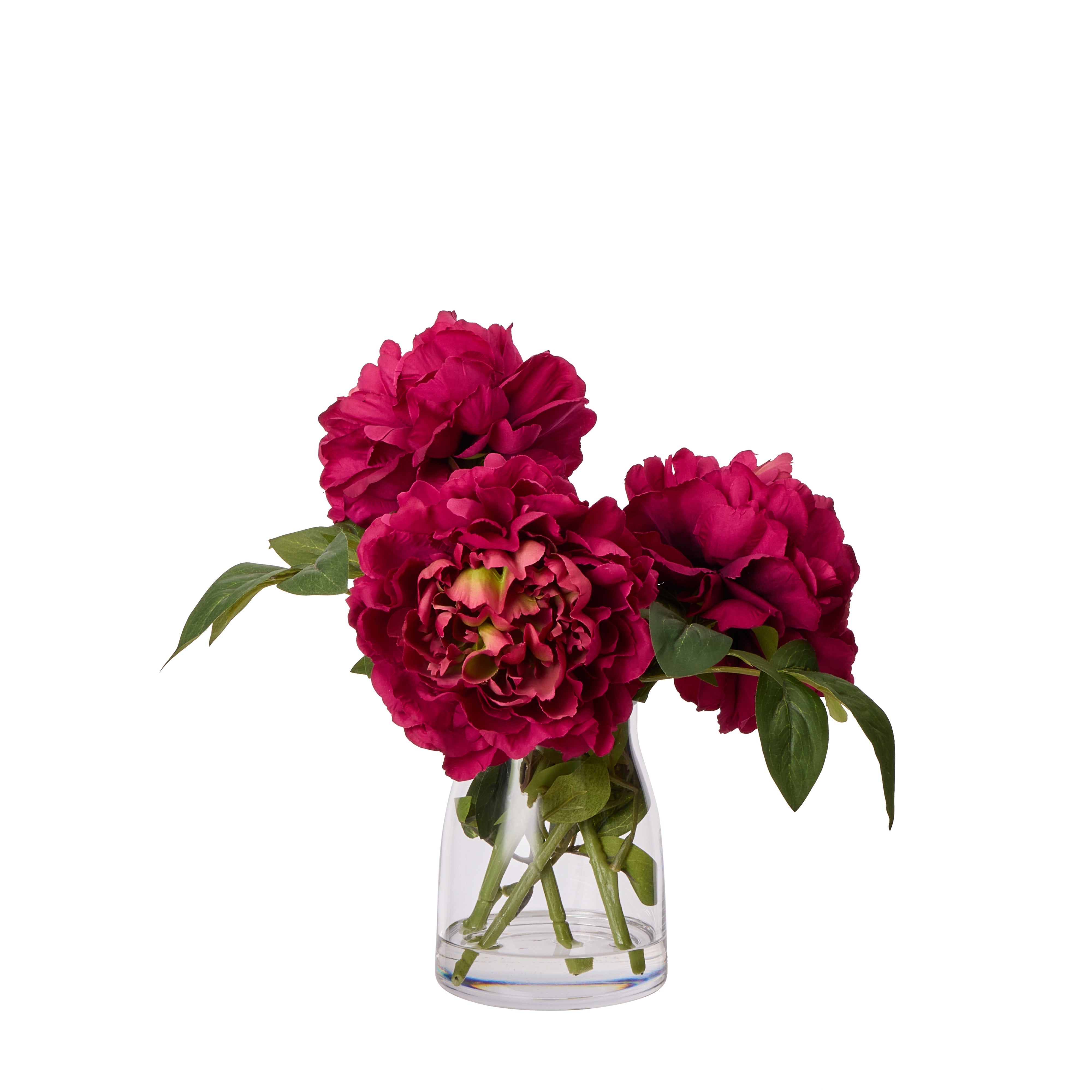 Rogue Peony Stem - Stella Vase