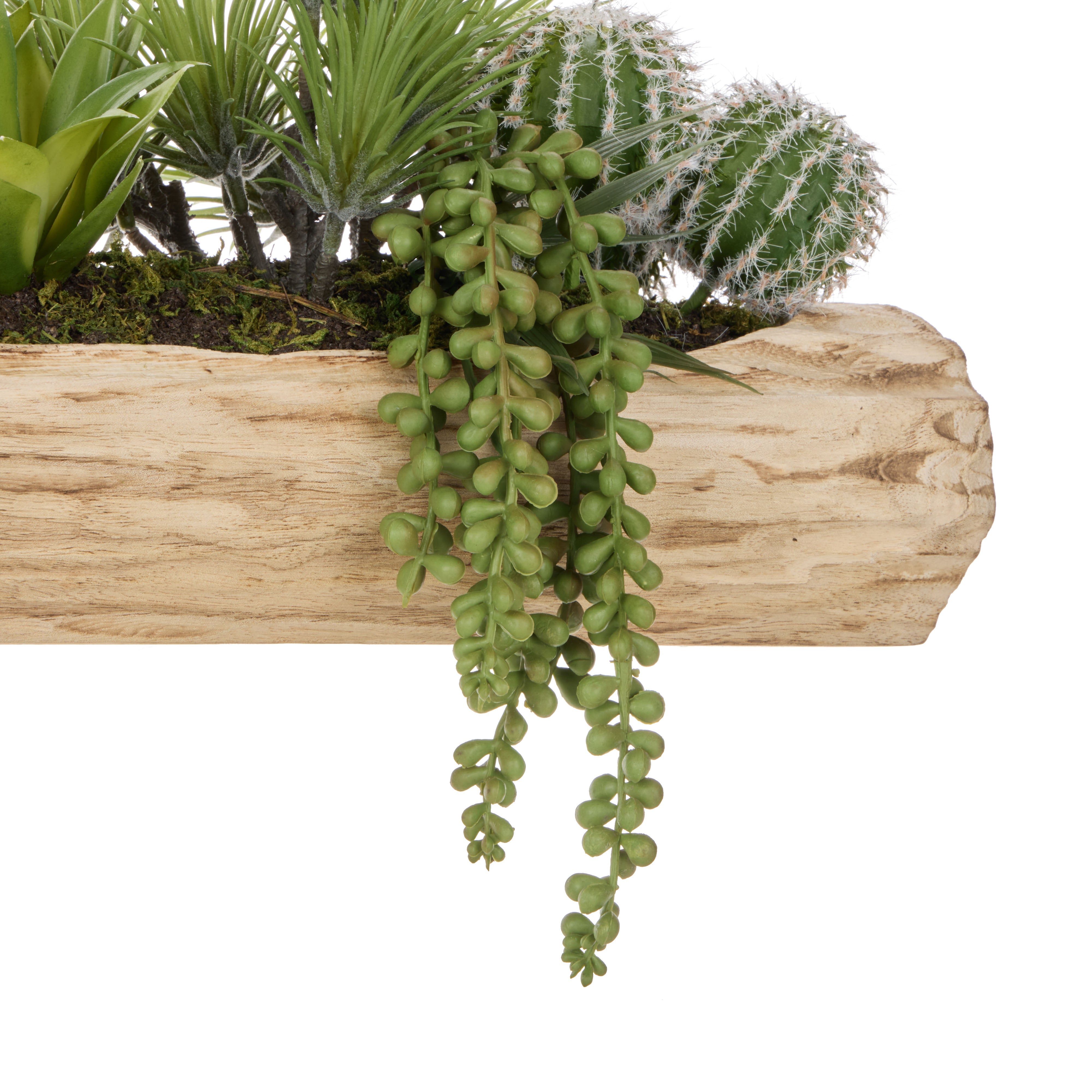 Rogue Cactus Air Plant Mix - Timber Planter Green & Natural