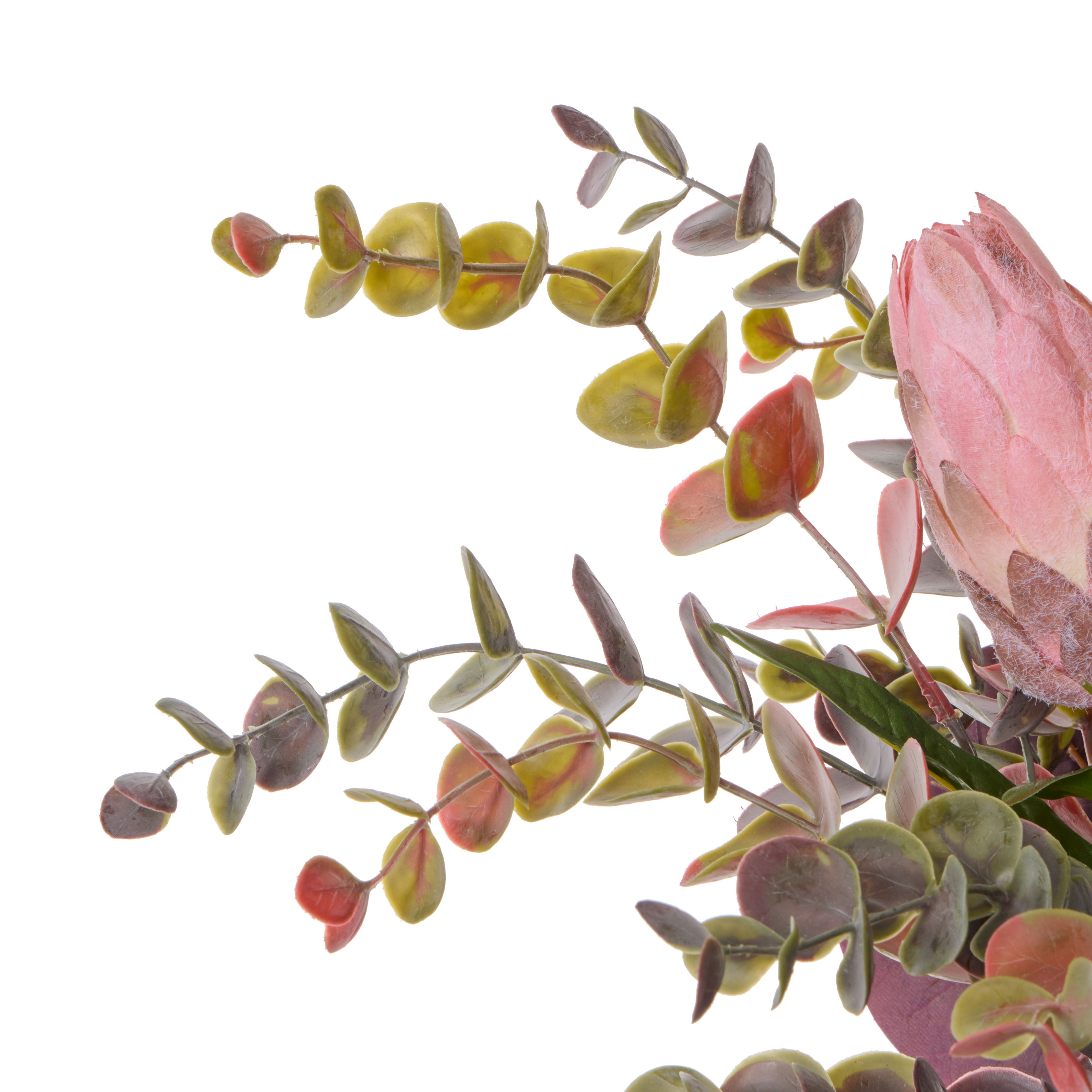 Rogue Protea Eucalyptus Mix - Pail Pink & Burgundy