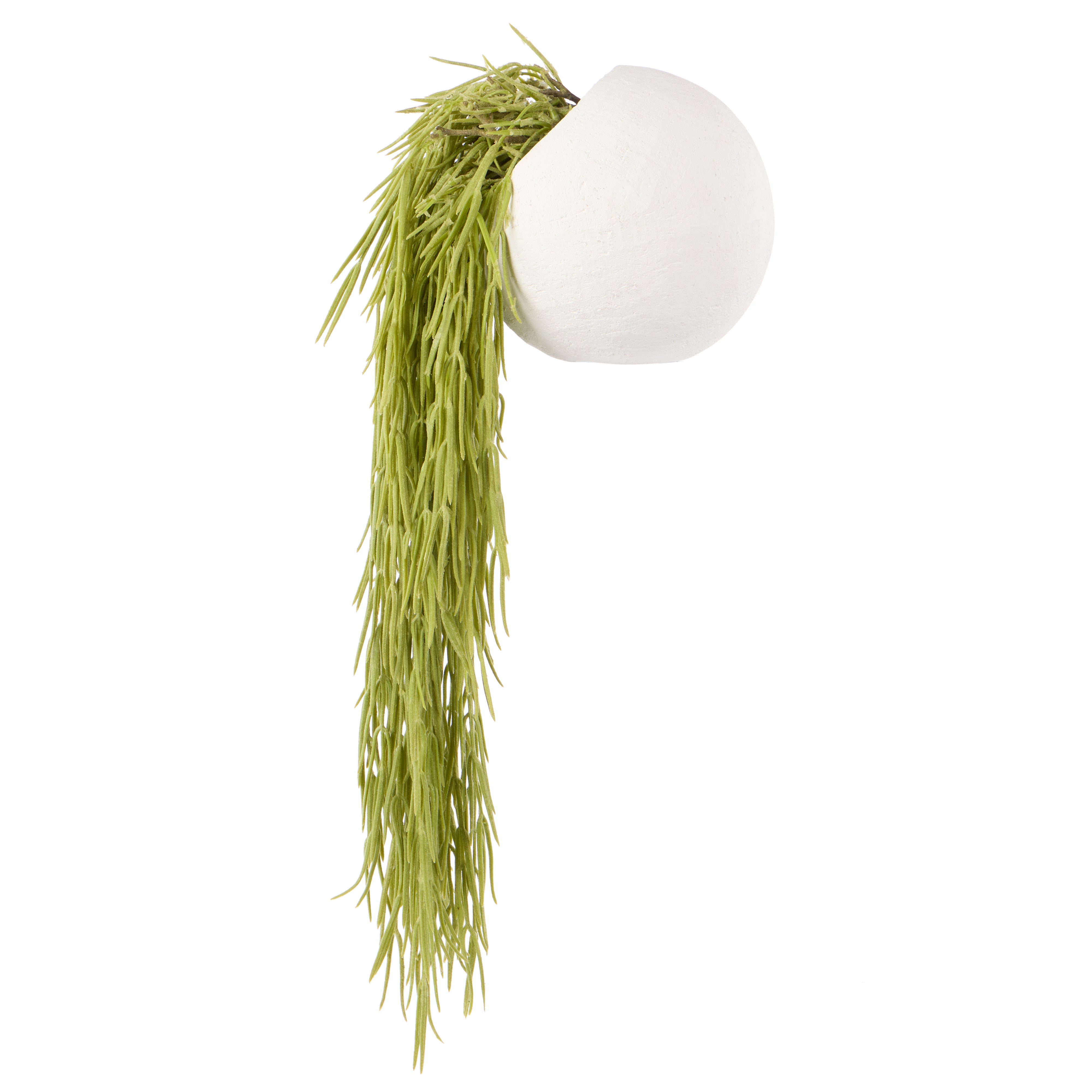Rogue Hoya Hanging - Ithaca Round Planter