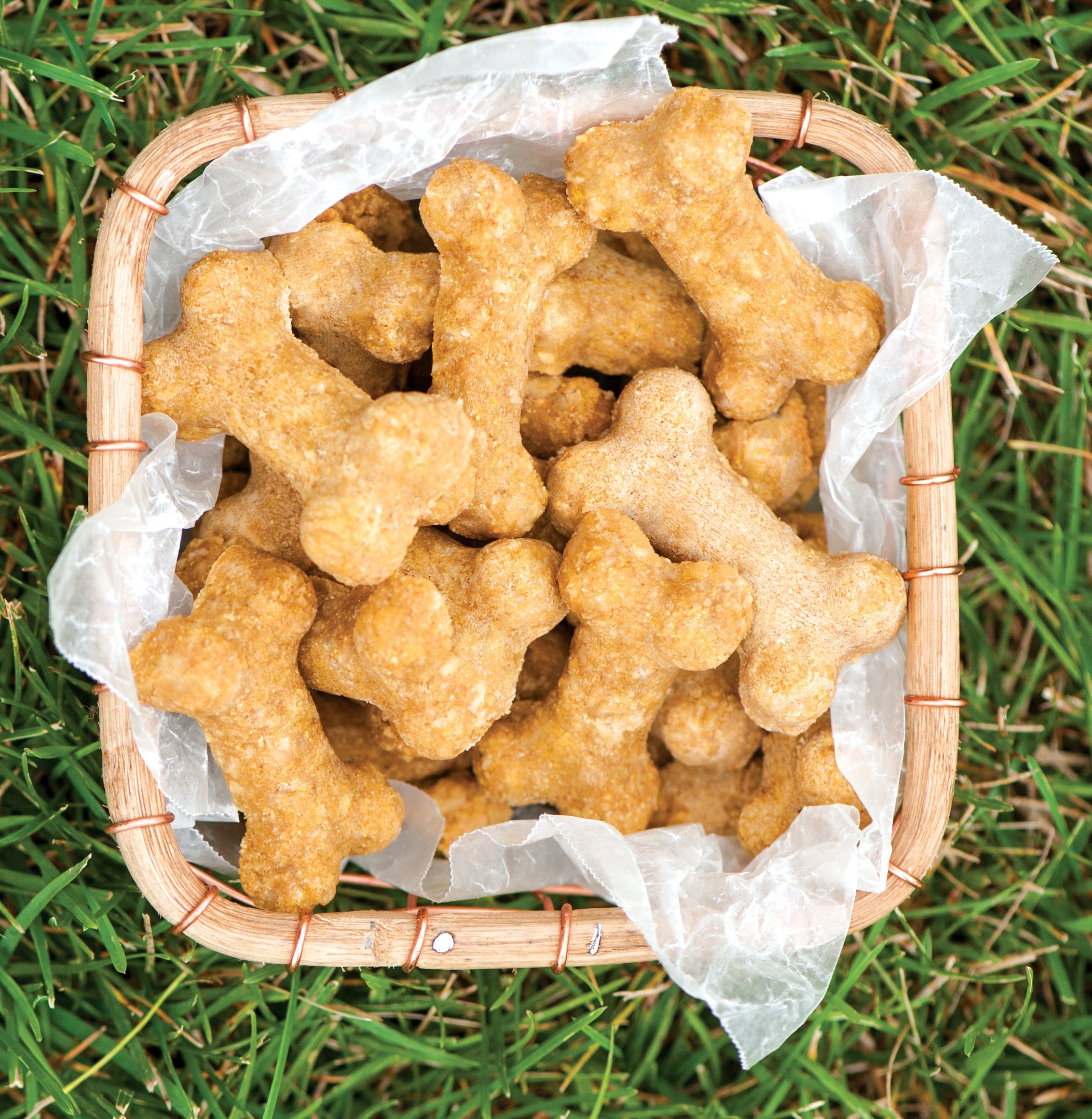 Nordicware Puppy Love Pan 37.5 x 25.5 x 1.5cm